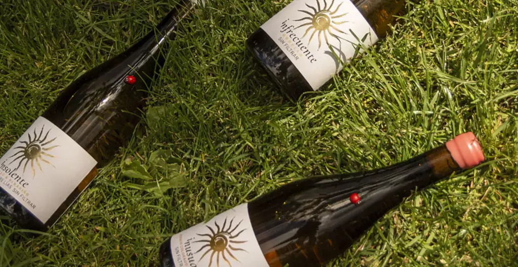 comprar vino Arribes del Duero | DOMINIO DE GALLO | Vinos de autor artesanales y de uvas únicas