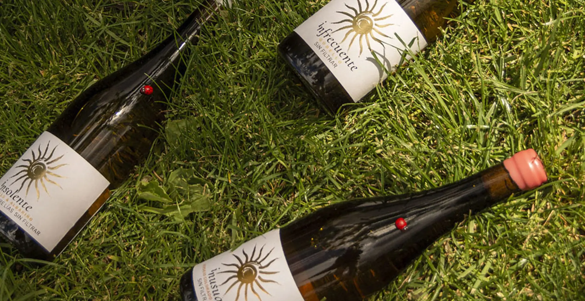 comprar vino Arribes del Duero | DOMINIO DE GALLO | Vinos de autor artesanales y de uvas únicas