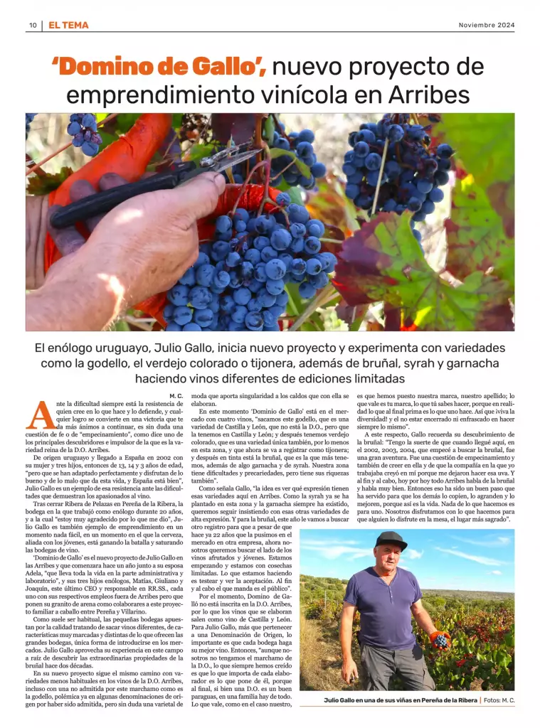Los vinos DOMINIO DE GALLO revolucionan el panorama vinícola de la zona de Arribes del Duero