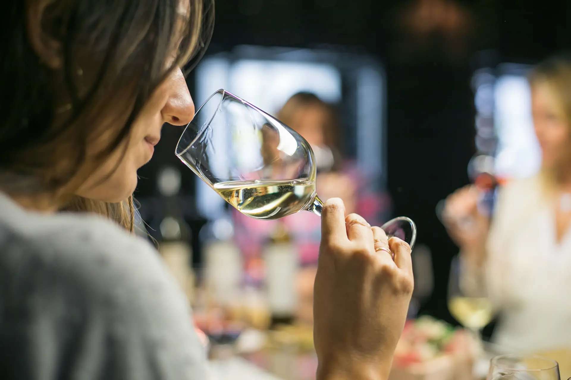 Cómo catar un vino | Guía para disfrutar cada copa como un experto