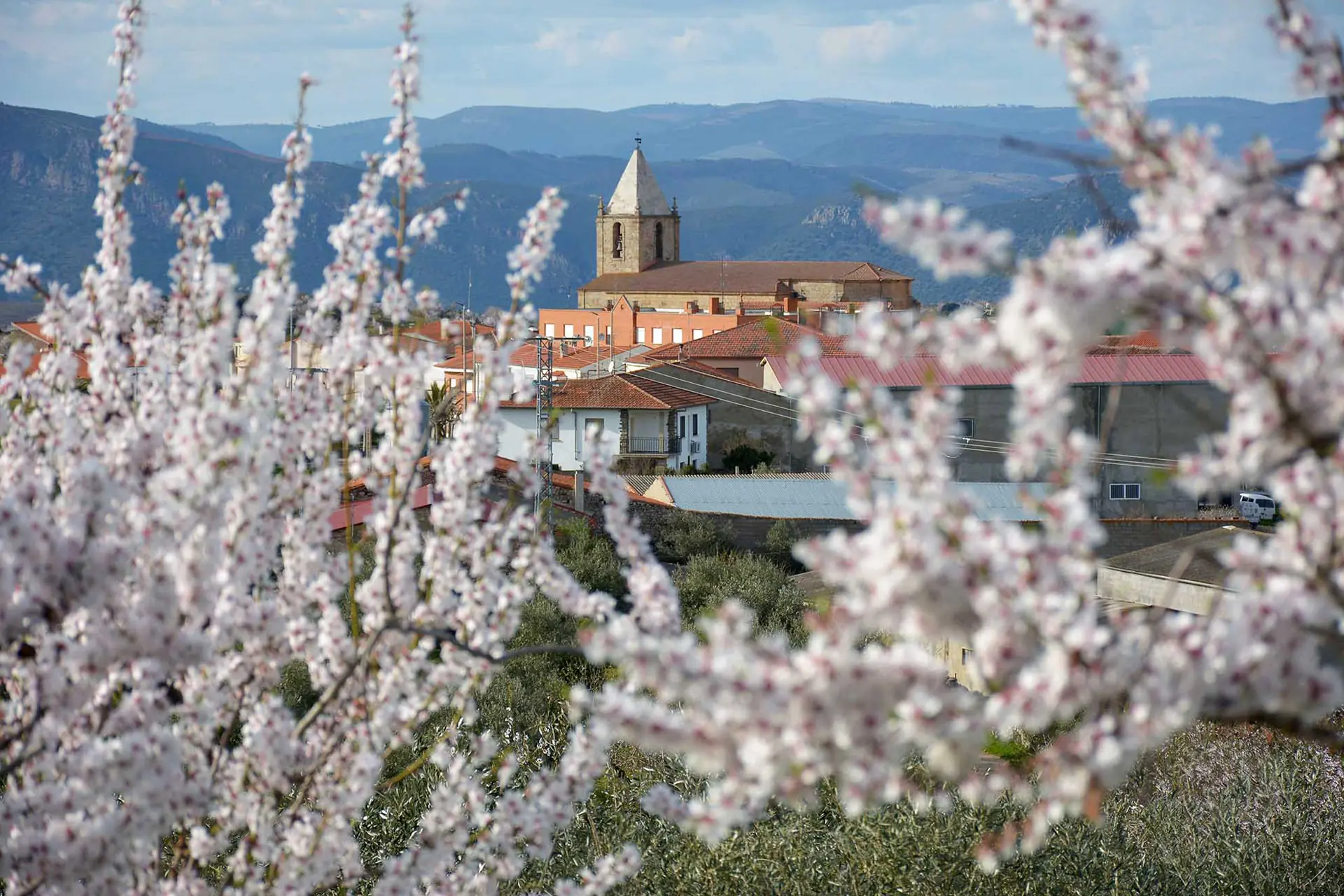 Los Arribes del Duero | Escapada inolvidable entre naturaleza, cultura y vinos de autor