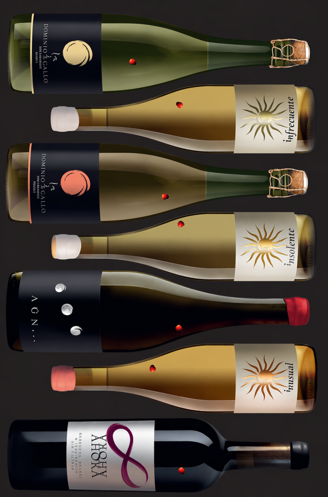 Todos los vinos de Dominio de Gallo